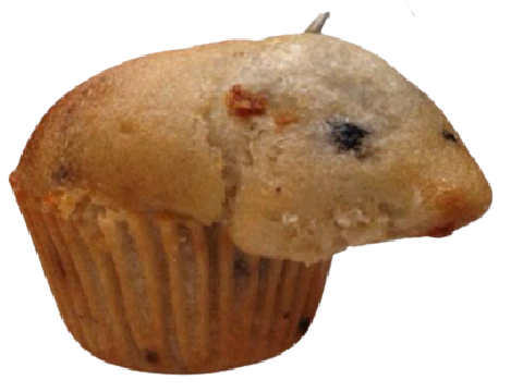 SOMEONE BAKED A HAMPTER INTO MY MUFFIN