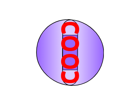 2 don round 