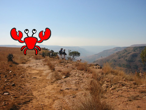 The King of the Mountian