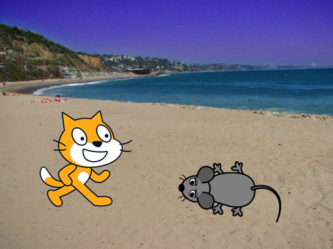The Cat And The Mouse