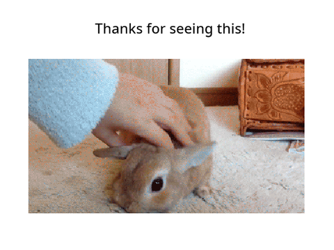 Bunny Gif remix