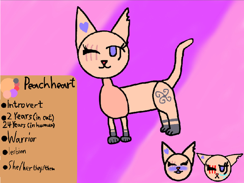 Warrior cats oc Refs