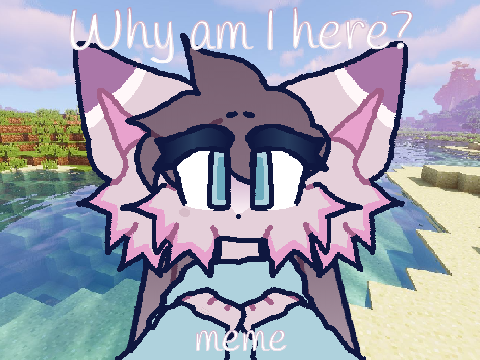 WHY AM I HERE? \\ SCRATCH MEME