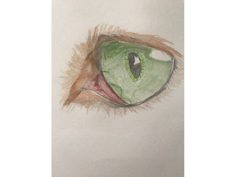 Untitled-35