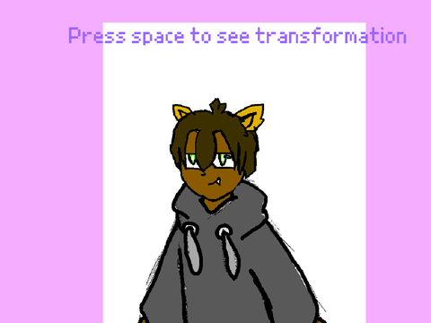 Cat art transformation