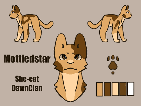 Mottledstar