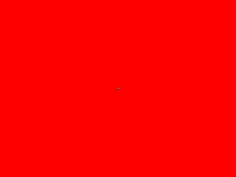 stare at the cat