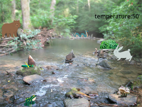 My animal habitat