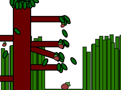 Acorn Art