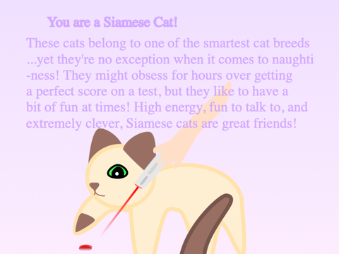 Cat personality quiz