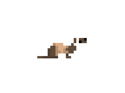 pixle ferret