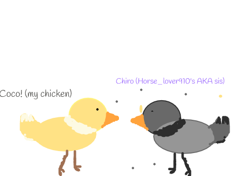 We got Baby chicks today! meet them!