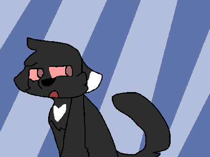 Identities- Warrior cat oc's (NEVER GONNA FINISH)