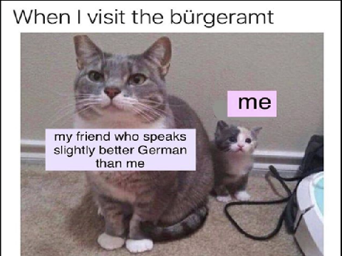 GERMAN MEME 2