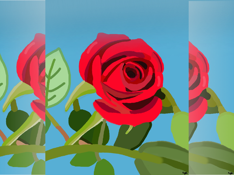 A Beautiful Rose - Music