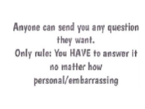 This looked fun