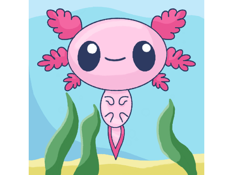 Axolotl Art