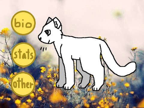 Dawnclan // Ref-Sheet