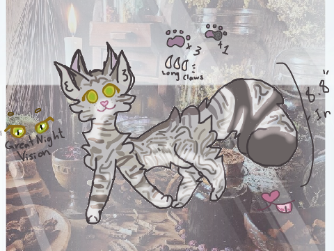 Design for Windclan Event Litter :]