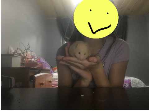 My hamster 