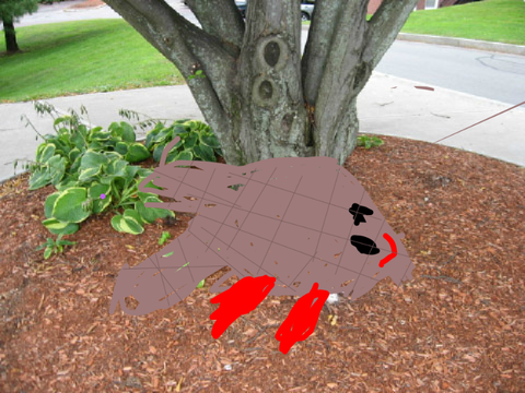 Ham 
