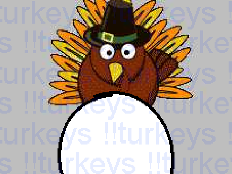 turkeys