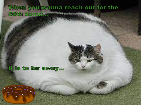 When You Wanna Reach Out For The 86th Donut...