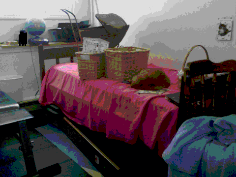 FInd My Ktty!!