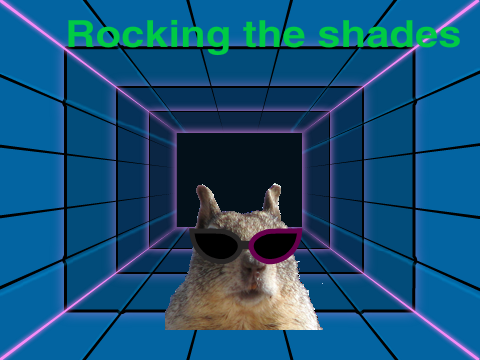 Mr.Shades