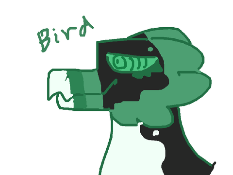 A wild bird :0