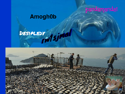 Sign if you're against shark cruelty! remix remix remix-2