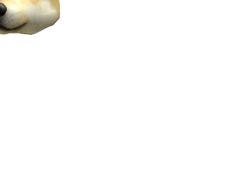 Doge Drawing