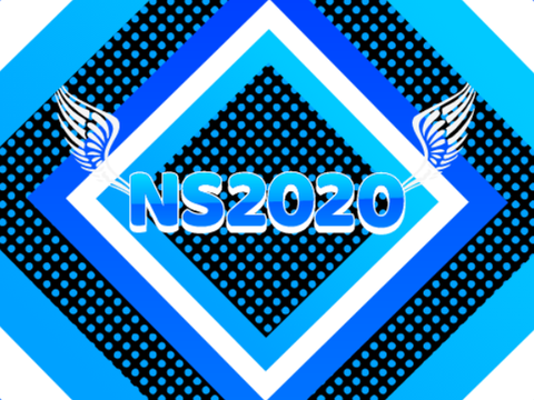 NS2020≪