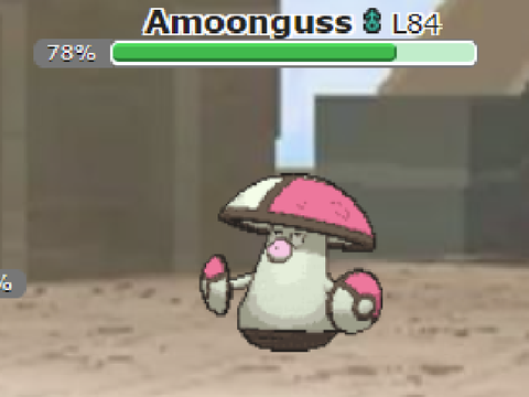 sus pokemon :O