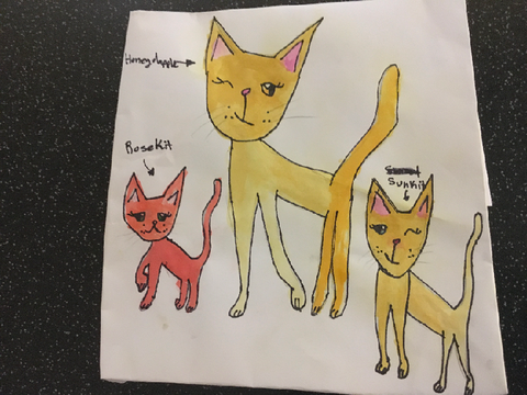 My OC’s!