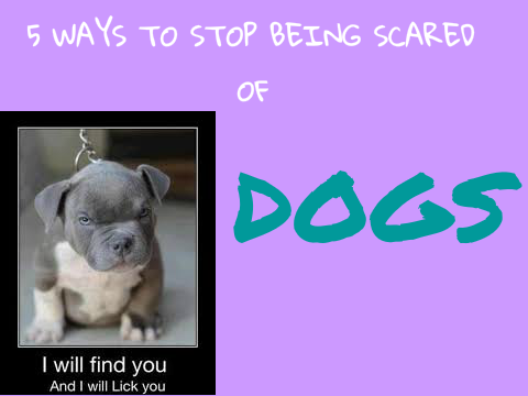 Are you scared of dogs?