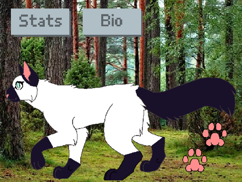 Willowkit/paw/breeze