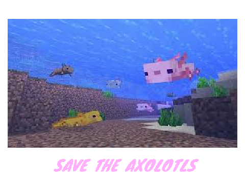 SIGN TO SAVE THE AXOLOTLS!!!!!!!!!!!!!! remix