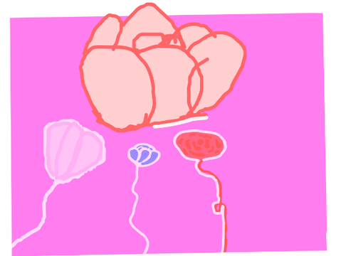 rose stickers