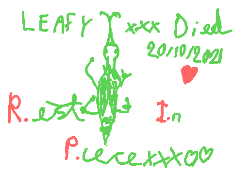 R.I.P Leafy the Leaf Insect xxx :(