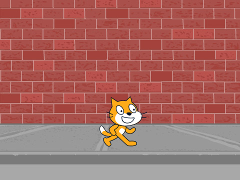 Flipper Cat!
