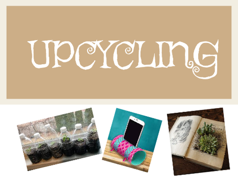 Fun things to upcycle