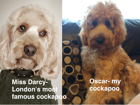 AN AWESOME THING ABOUT MY DOG!!!!!