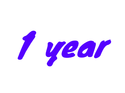1 Year