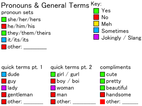Terms & Pronouns Sheet