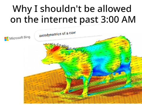 Aerodynamics of a Cow