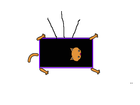 Cat TV