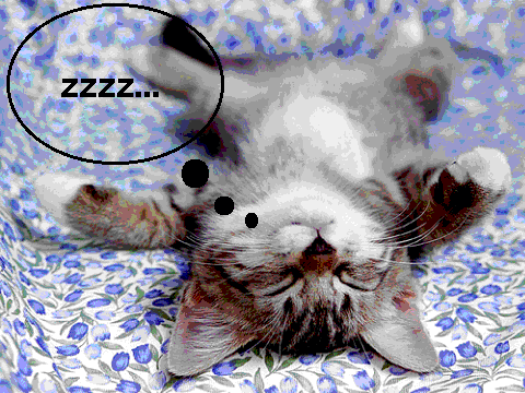 Really Cute Kitties