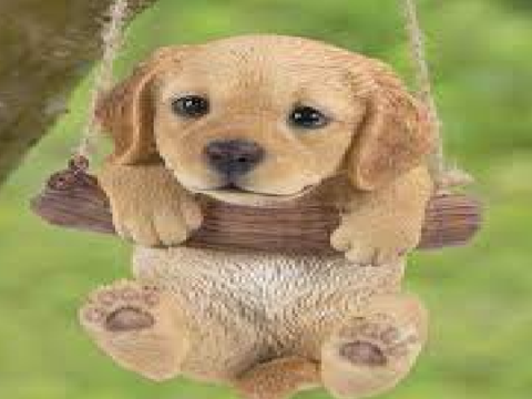 Remix this if you love dogs remix