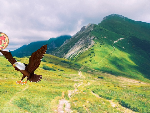 Eagles like Pizza!